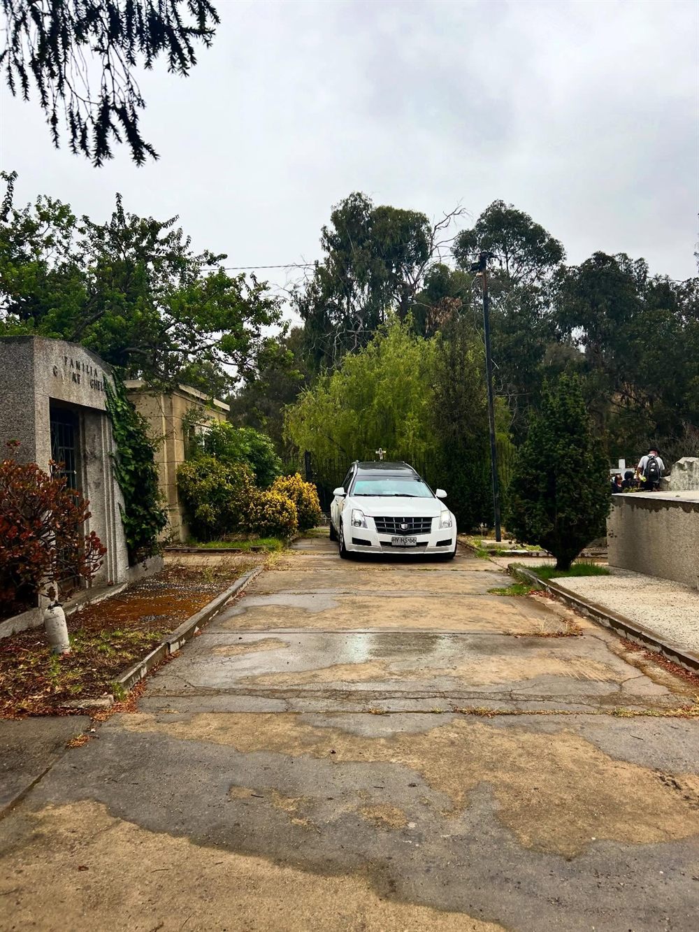Carroza fúnebre en la avenida de un cementerio